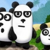 Jeu 3 Pandas